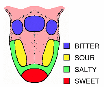 Tongue.gif
