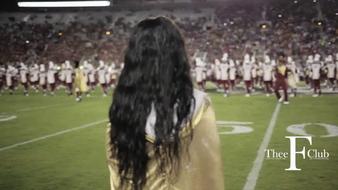 BCU-14k-Florida-State.gif