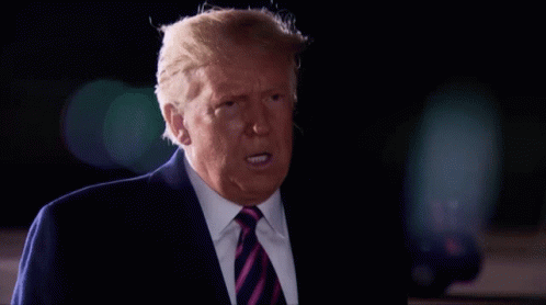 trump-pause-meditating-aaurgeqdo8qc4903.gif