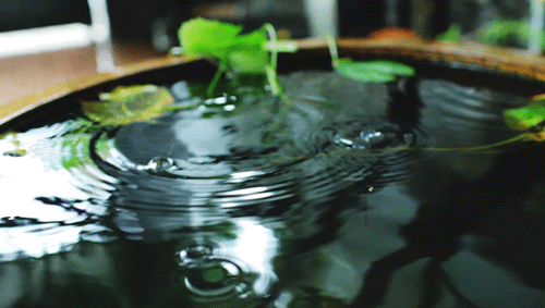 tumblr_nbjea6827o1r2gkiro1_r1_500.gif
