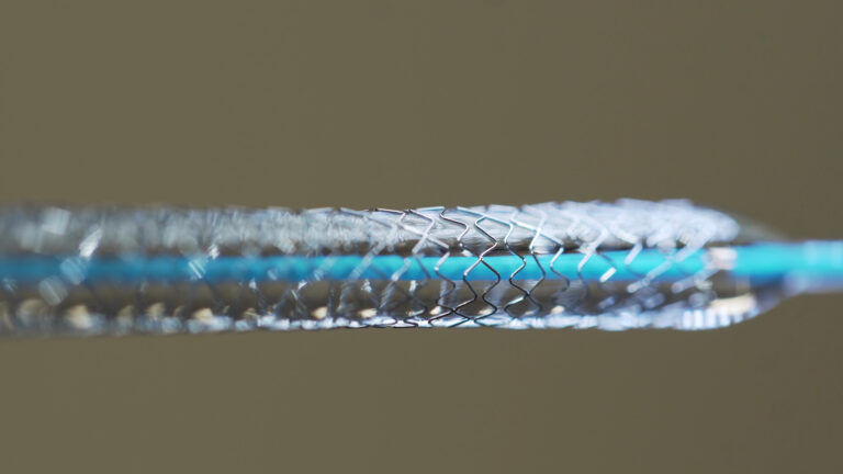 AdobeStock_190649897-768x432.jpeg