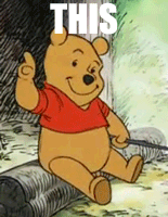 Whinnie-the-Pooh-This.gif