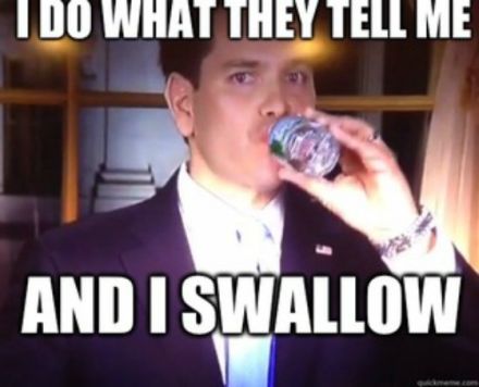 rubio-swallows.jpg