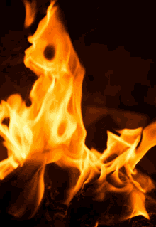 fire-flames.gif