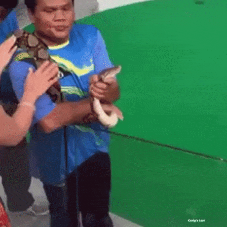 tumblr_o9sv4ifZtq1ufbwoco1_500.gif