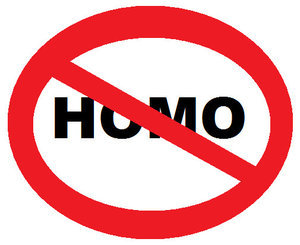 no_homo_by_bhrae.jpg