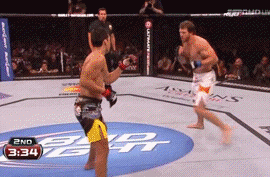 Machida+Bader2.gif