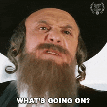 whats-going-on-rabbi-jacob.gif