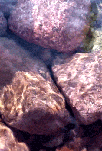 tumblr_mftviwPKTm1r6s7lmo1_400.gif
