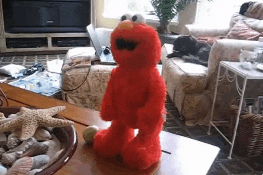 giphy.gif