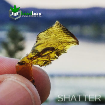 shatter1-350x350.jpg