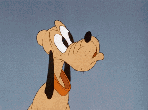 tumblr_n48i84kdz51s2wio8o1_500.gif