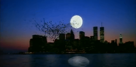 tumblr_p239nr4hQb1v6w3juo10_500.gif