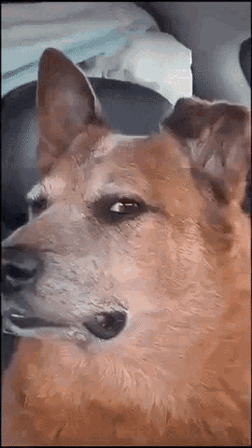 ab790e503aa6762660b4674bd34cf85f.gif