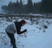 boom-to-face1.gif