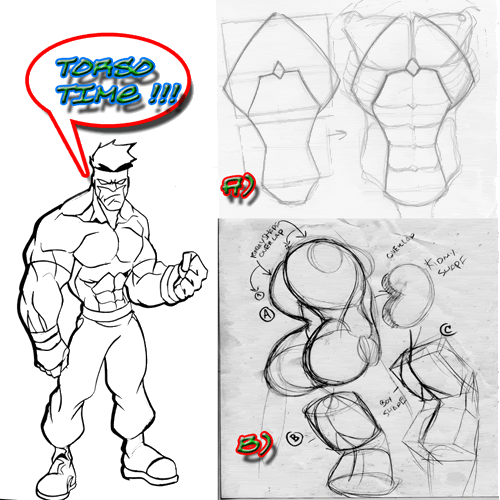 TORSO-TIME.gif