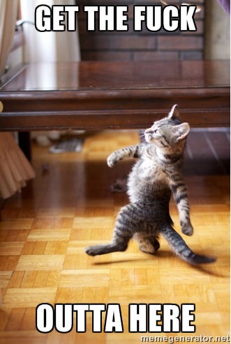 cat-get-the-fuck-outta-here-meme.jpg