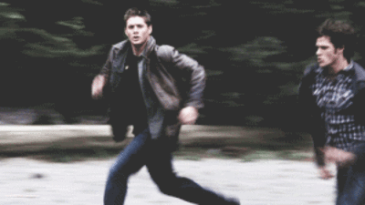 run-bitch-run.gif