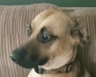 c97fd52e63323465bba51e8f59d5a0e8.gif