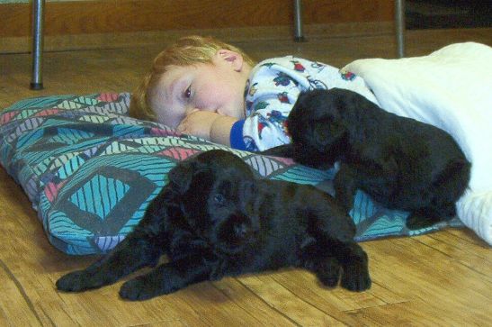hunter_giant_puppy_nap_time.jpg