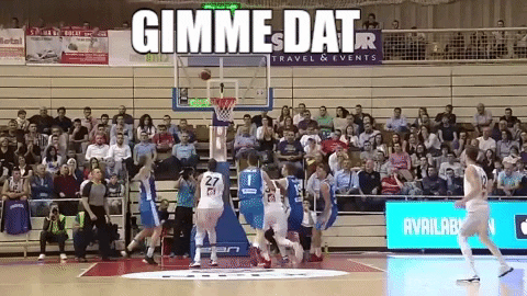 giphy.gif