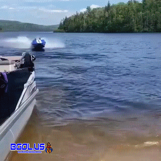 f.gif