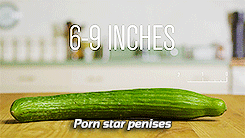 tumblr_mr1bn7MyCG1qahcb6o1_250.gif