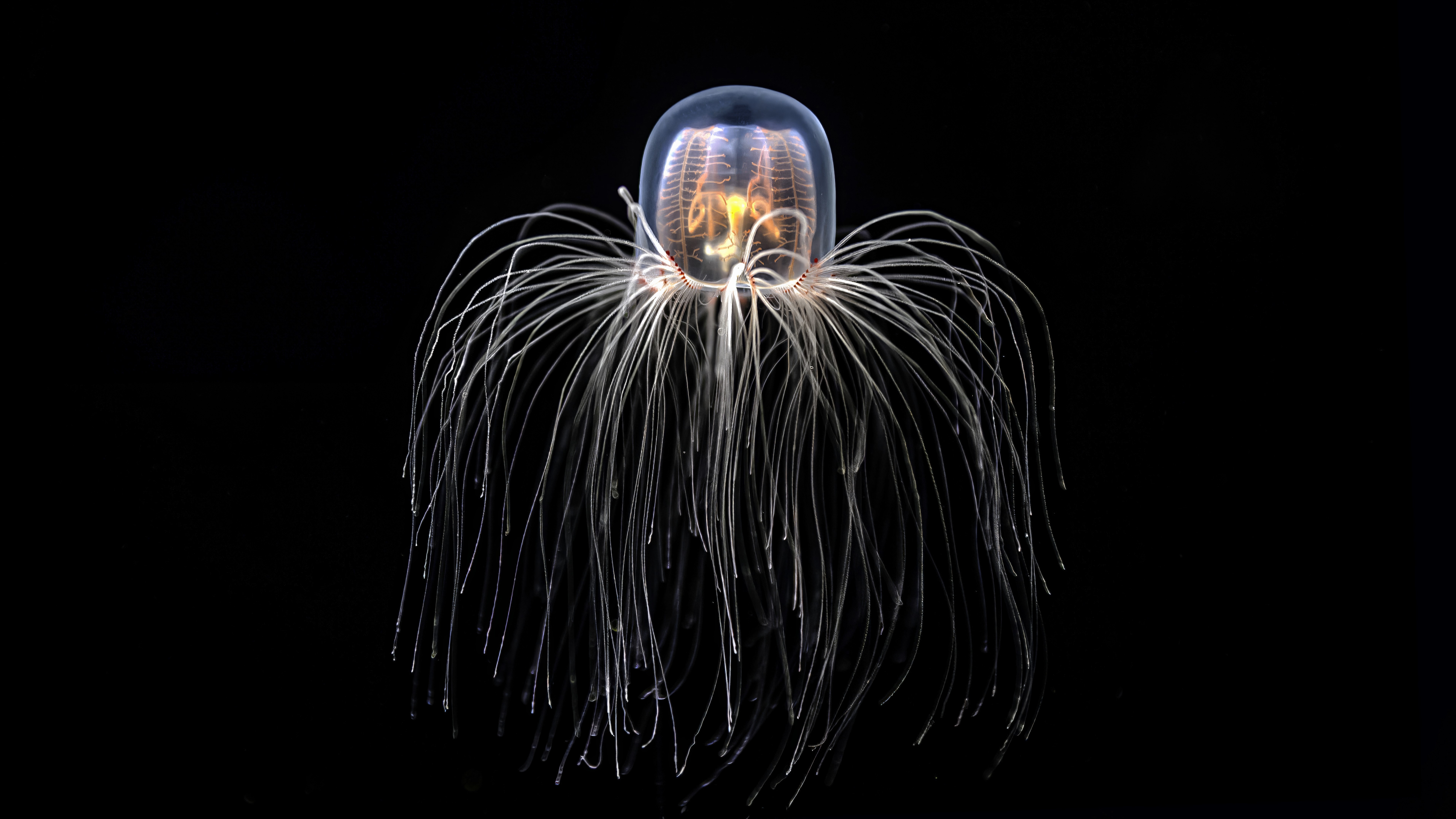 www.livescience.com