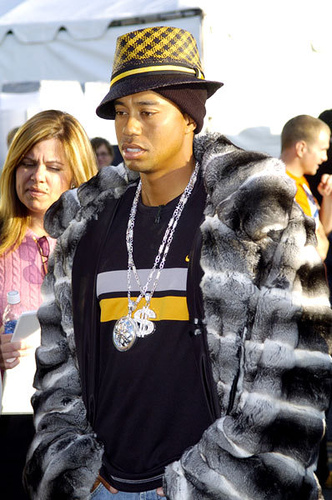 TigerSnoop68_o.jpg