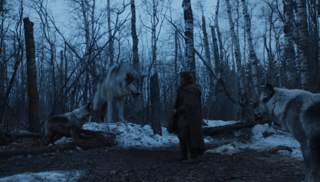 Direwolf-2.png