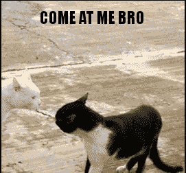 source.gif