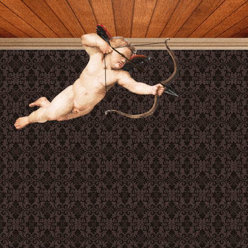 giphy.gif