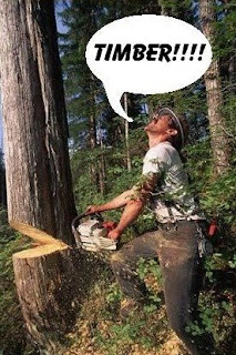 lumberjack2.JPG
