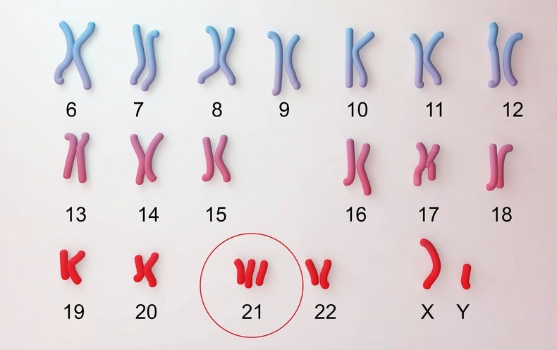 www.scientificamerican.com