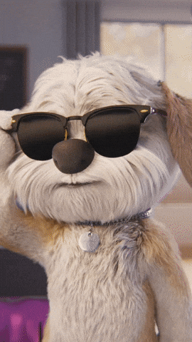 doglook.gif