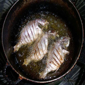 fishgrease.jpg