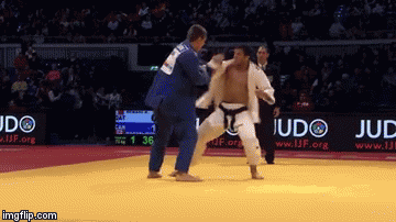 tumblr_oe9fjltUAg1tfrx5ho1_400.gif