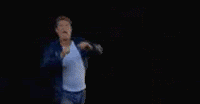 hoffkick.gif