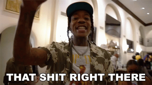 that-shit-right-there-wiz-khalifa.gif