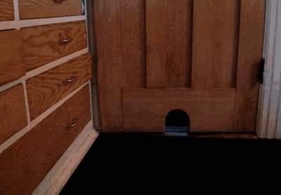 tumblr_mwfcn0BScY1t0i1e4o1_400.gif