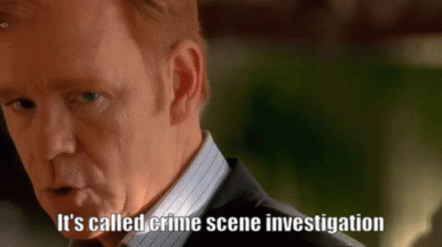 miami-horatio.gif