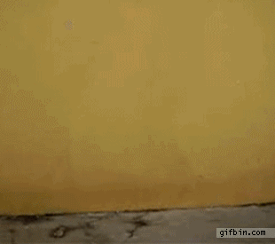 ezgif.com-gif-maker.gif