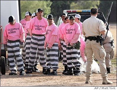 sheriffarpaioprisonerspinkshirts1.jpg
