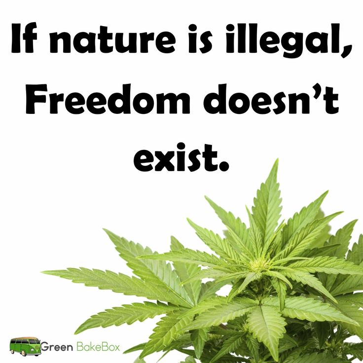 6ebf19c28357ae19ef4163ec0daab530--stoner-hemp.jpg
