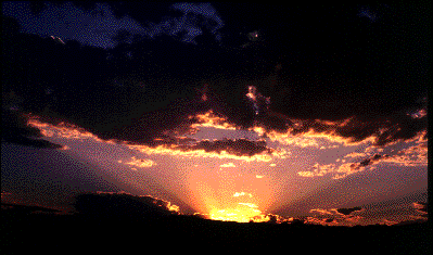 crp1.gif