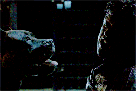 tumblr_ovfzryCHFp1vbn26jo5_r1_400.gif