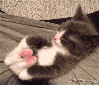 dc7f986f152aaeaf8b1a6c45aa4aed52.gif