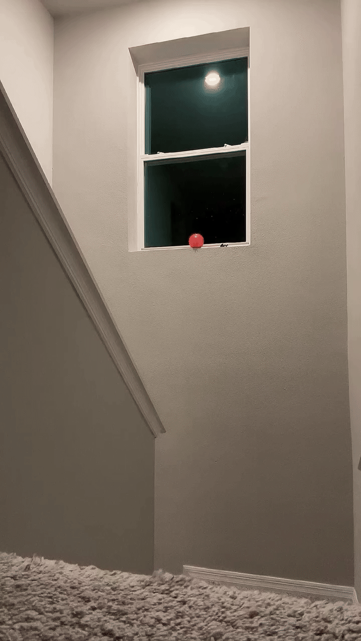 39fTELQ.gif