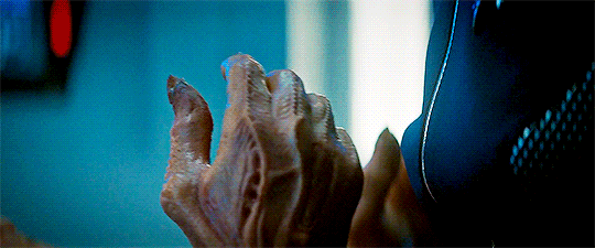 tumblr_pmlfnkderJ1x4cjzoo1_540.gif
