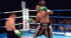 tumblr_lyvvudtoMZ1roq55go1_250.gif